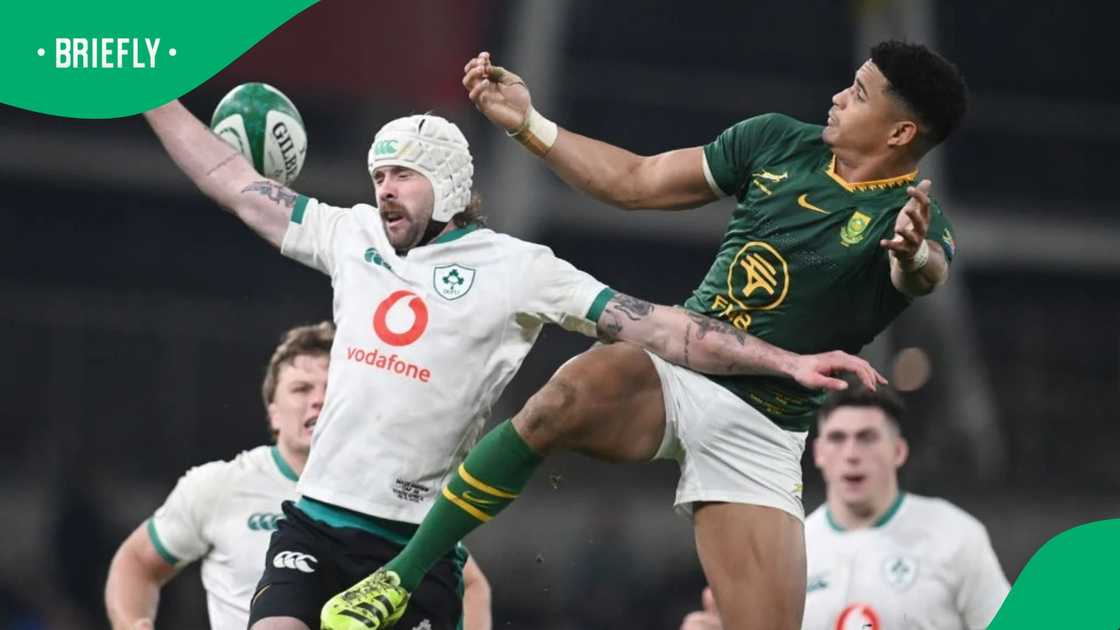 Ireland vs Springboks