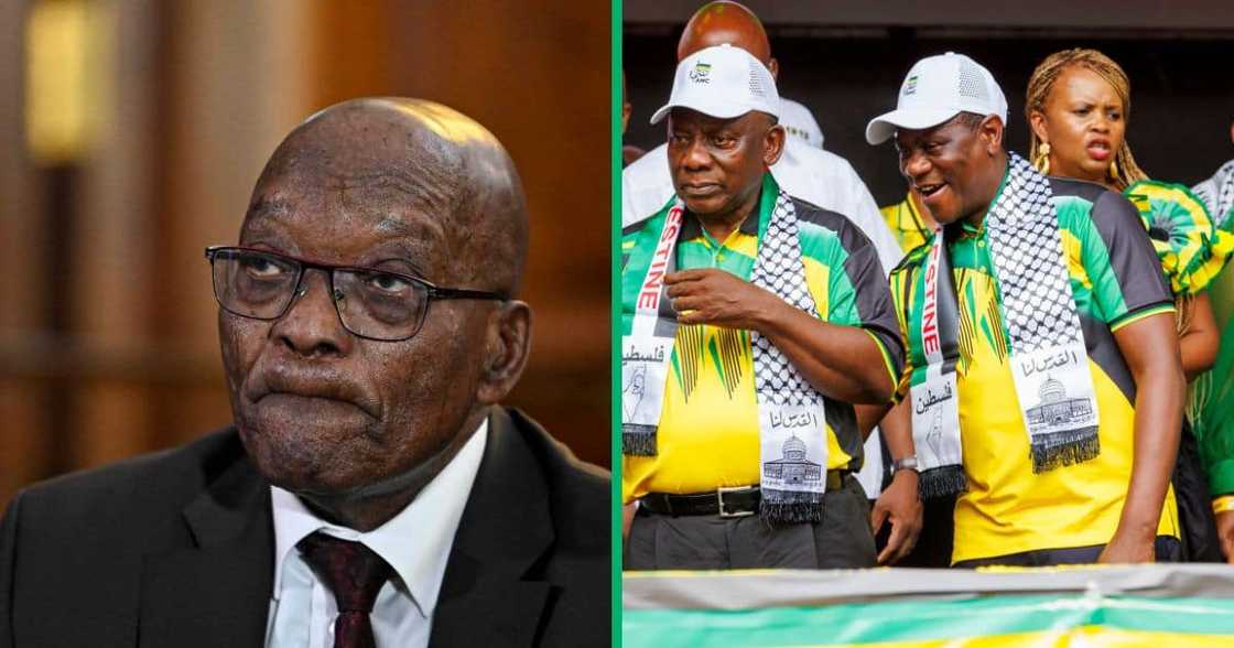 Jacob Zuma has been suspended by the ANC's NEC Jacob Zuma has been suspended by the ANC's NEC