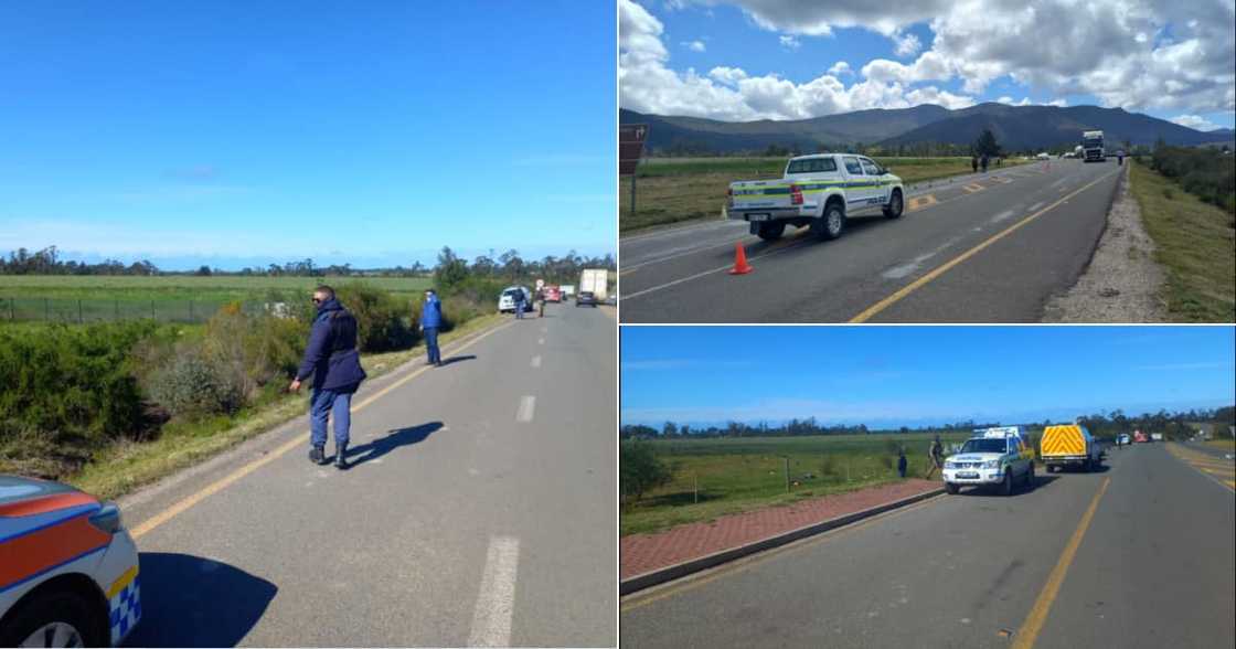 Robbery, Plettenberg Bay, SAPS, Social media reactions