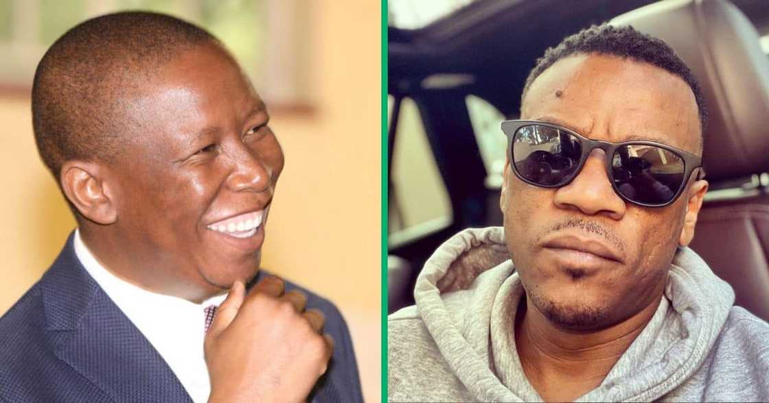 Julius Malema, Zwai Bala Julius Malema, Zwai Bala