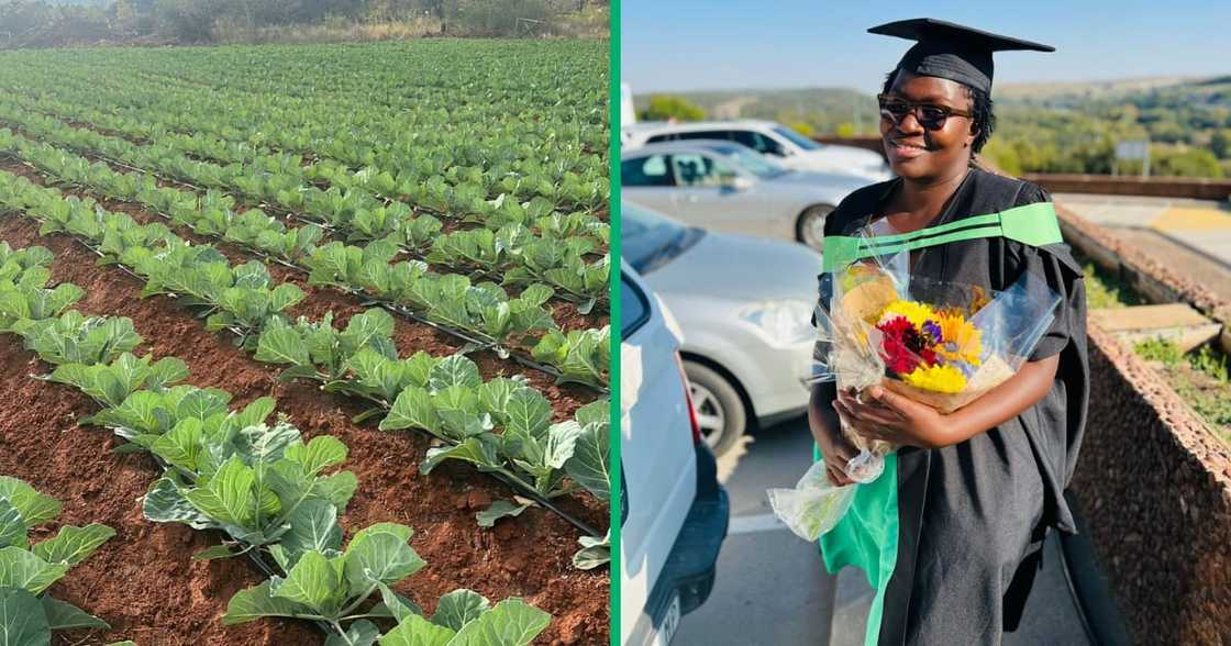 The North West woman is a vegetable farmer but also has a degree in accounting from Unisa The North West woman is a vegetable farmer but also has a degree in accounting from Unisa