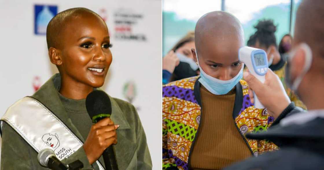 Miss SA, Mzansi, Covid19, Vaccine, Registrations, Open, Miss South Africa, Shudufhadzo Musida, Social media, Twitter, Electronic Vaccine Data System Miss SA, Mzansi, Covid19, Vaccine, Registrations, Open, Miss South Africa, Shudufhadzo Musida, Social media, Twitter, Electronic Vaccine Data System