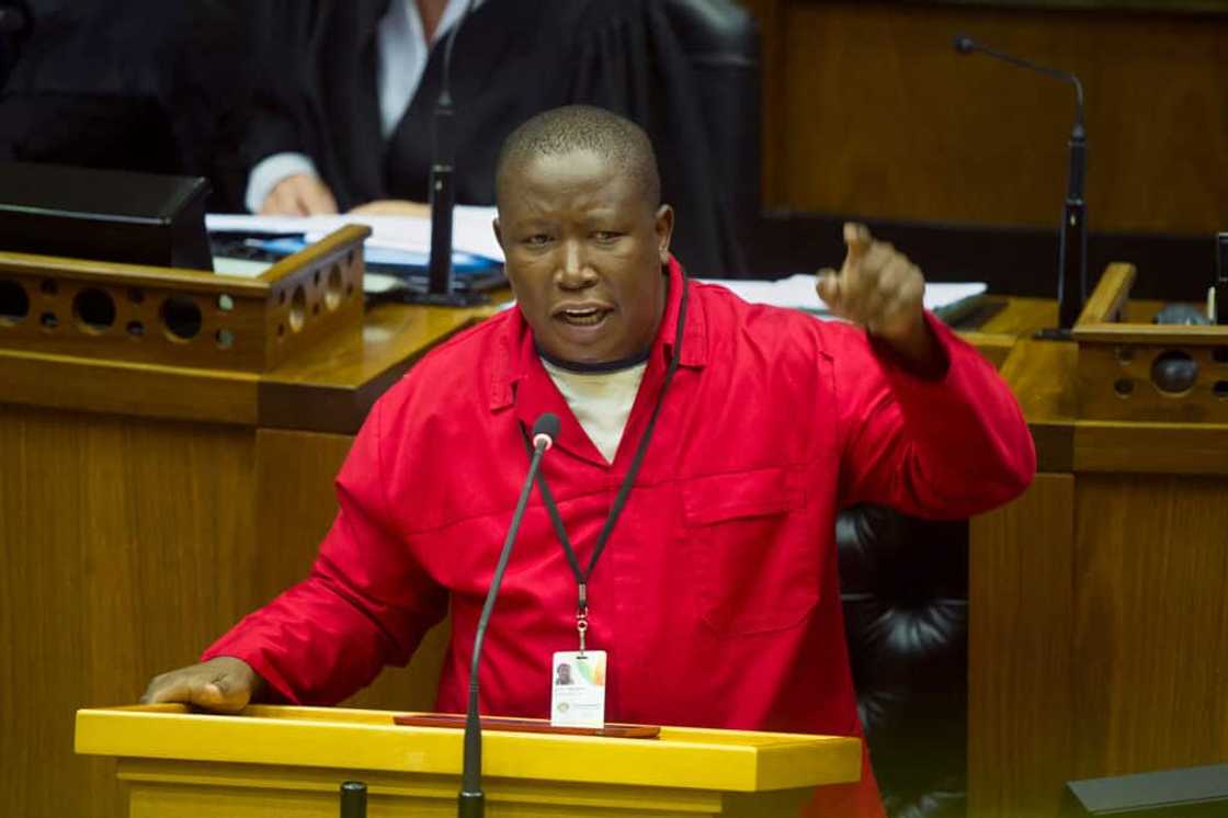 EFF’s Julius Malema Pushes for Parliament To Move From Cape Town to Tshwane to make it accessible to all