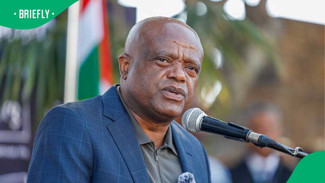 Mayor Dada Morero Mayor Dada Morero