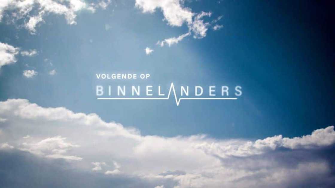 New Binnelanders cast members