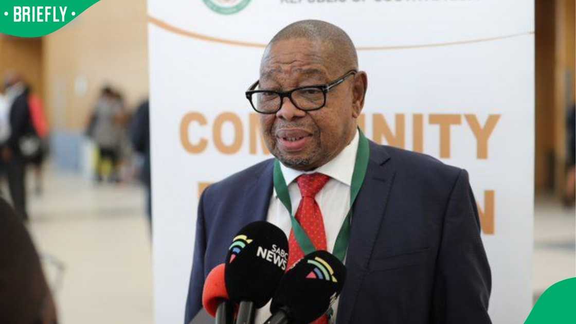 Blade Nzimande defended President Ramaphosa’s decision to challenge the Phala Phala report