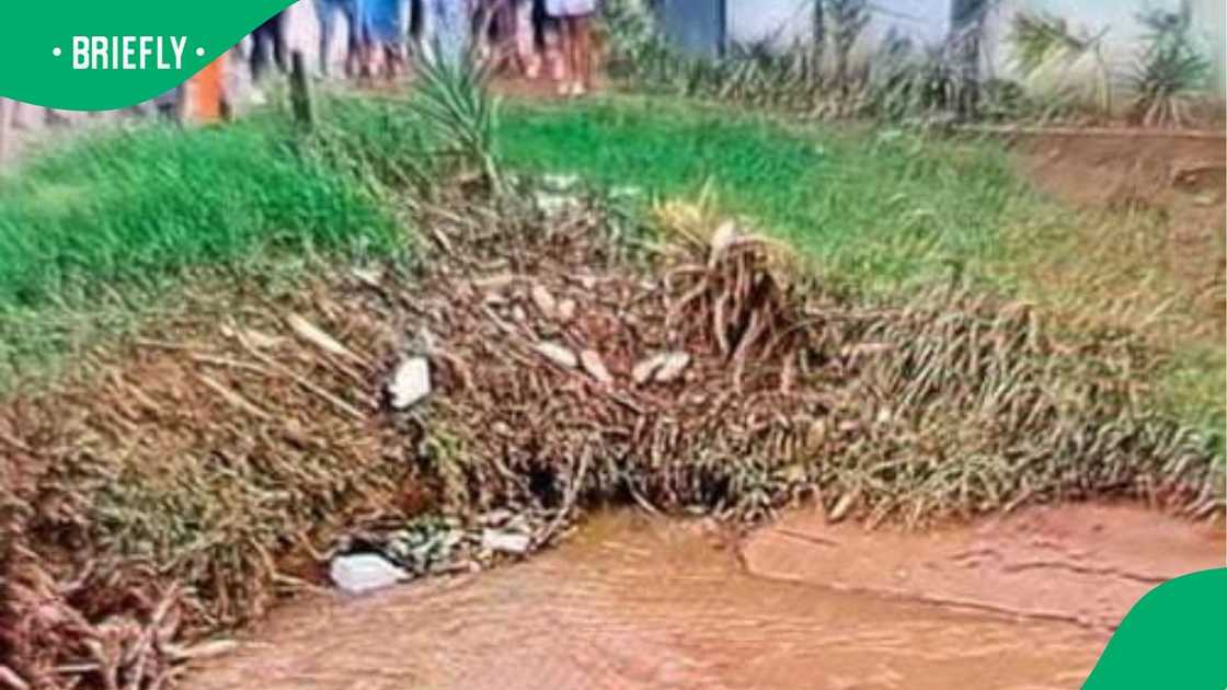 Mpumalanga drowning Mpumalanga drowning