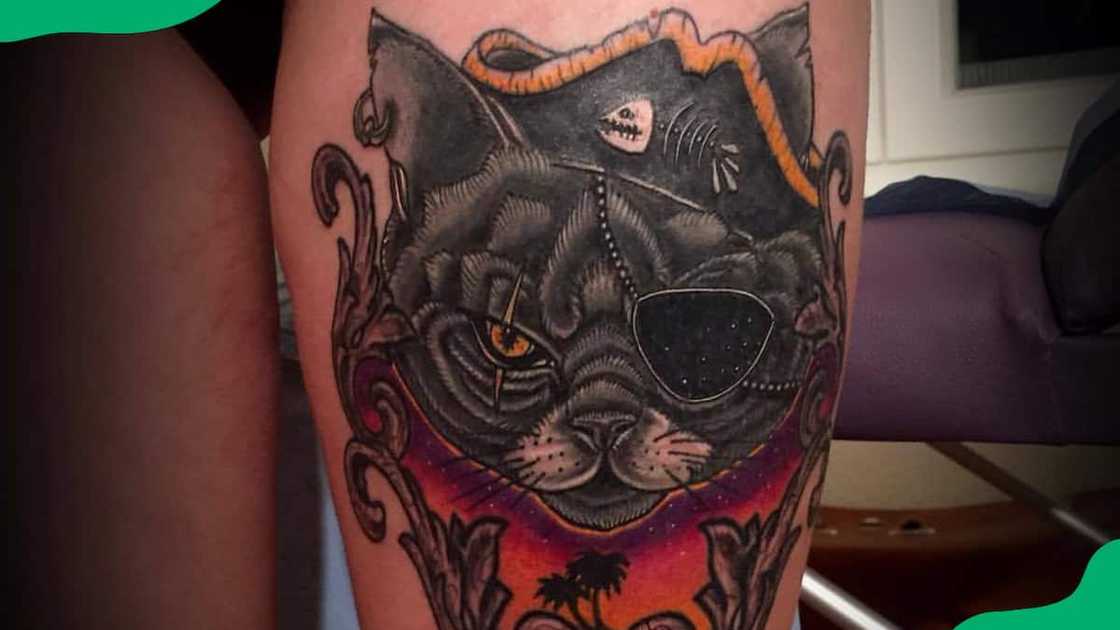 Pirate cat Pirate cat