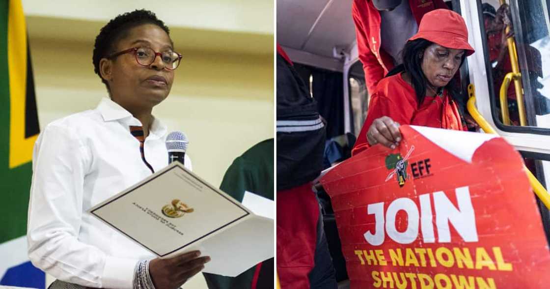 The presidency claims government was fulfilling its duty by blocking a transport deal between EFF and a bus company The presidency claims government was fulfilling its duty by blocking a transport deal between EFF and a bus company