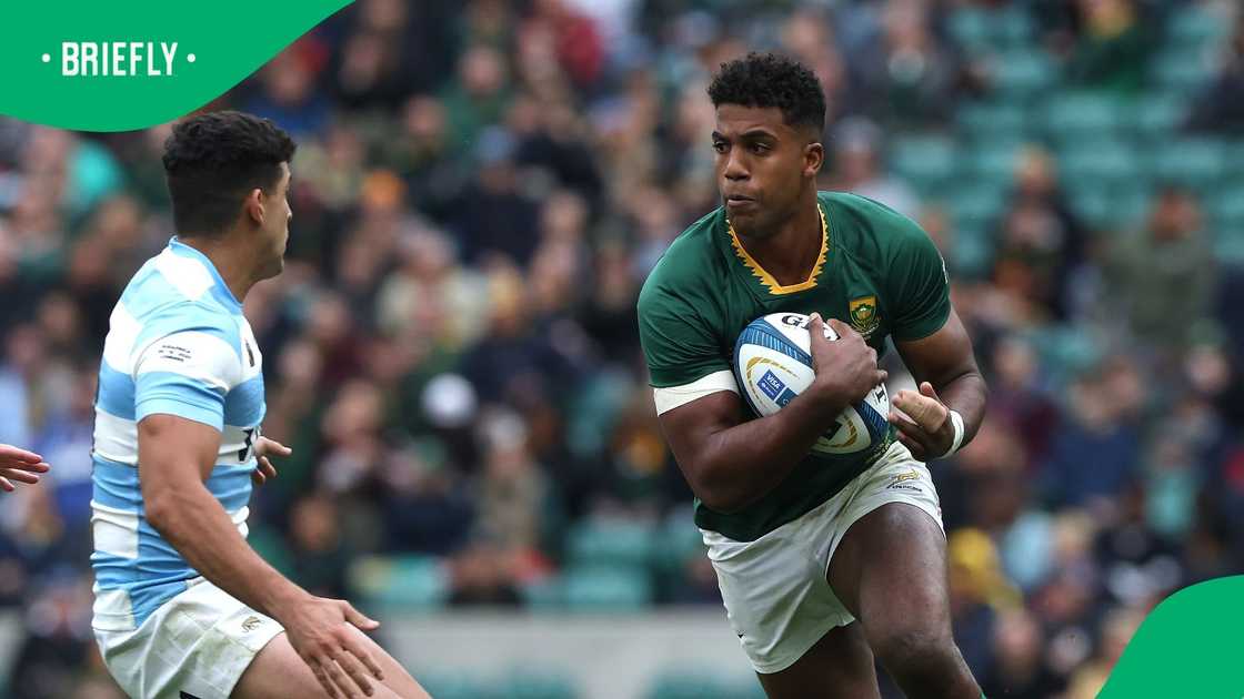 Springboks, South Africa,Rugby Championship,Los Pumas
