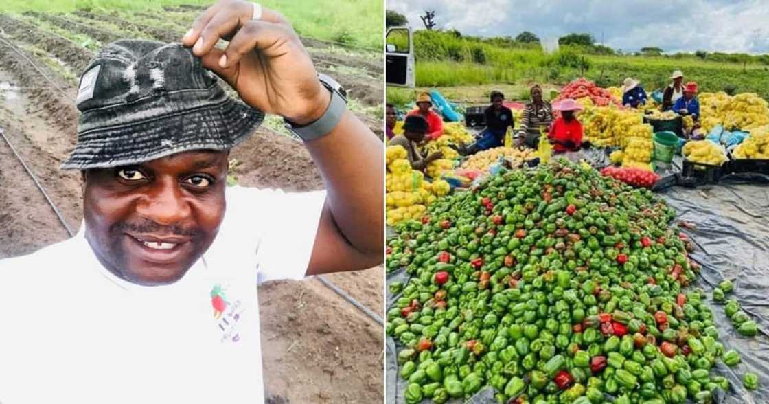 Farmer, South Africa, jobs, employment, social media Farmer, South Africa, jobs, employment, social media