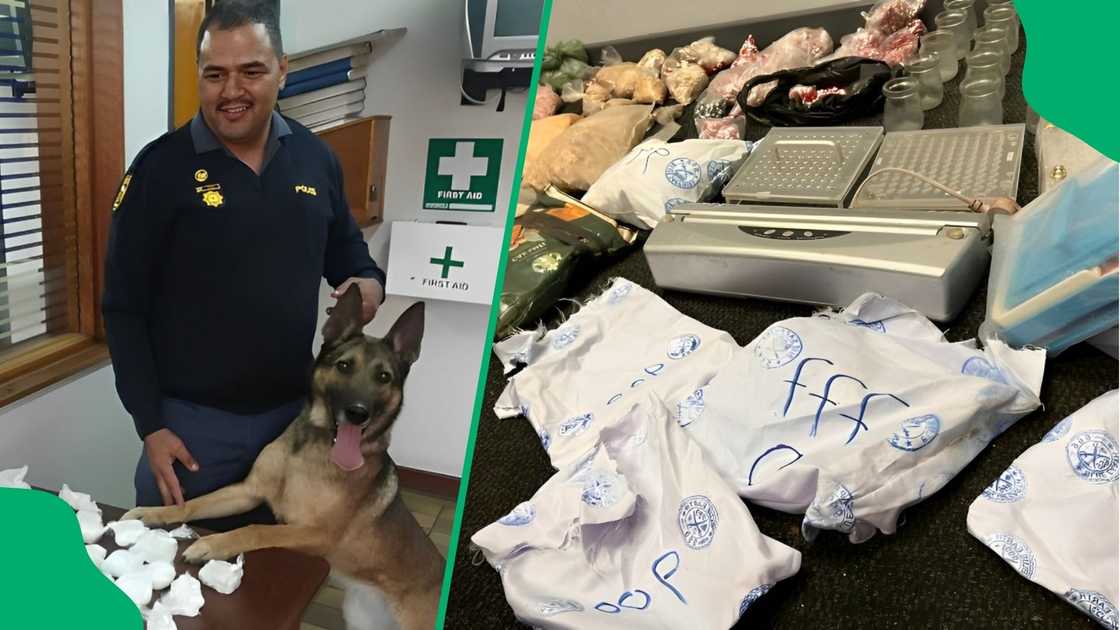 2 Undocumented foreigners arrested in Central Durban in drug bust worth R3 million 2 Undocumented foreigners arrested in Central Durban in drug bust worth R3 million