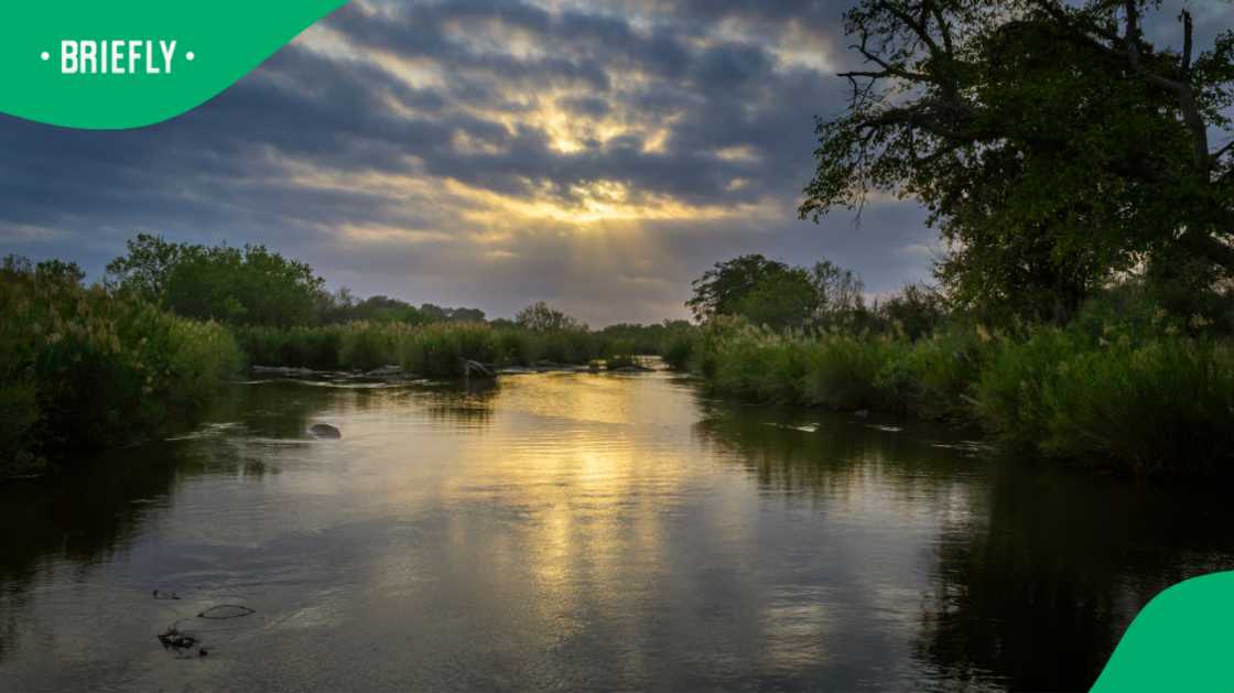 A toddler drowned in White River, Mpumalanga A toddler drowned in White River, Mpumalanga