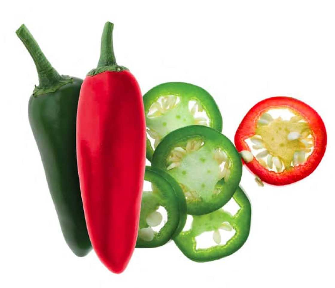 Chipotle south africa