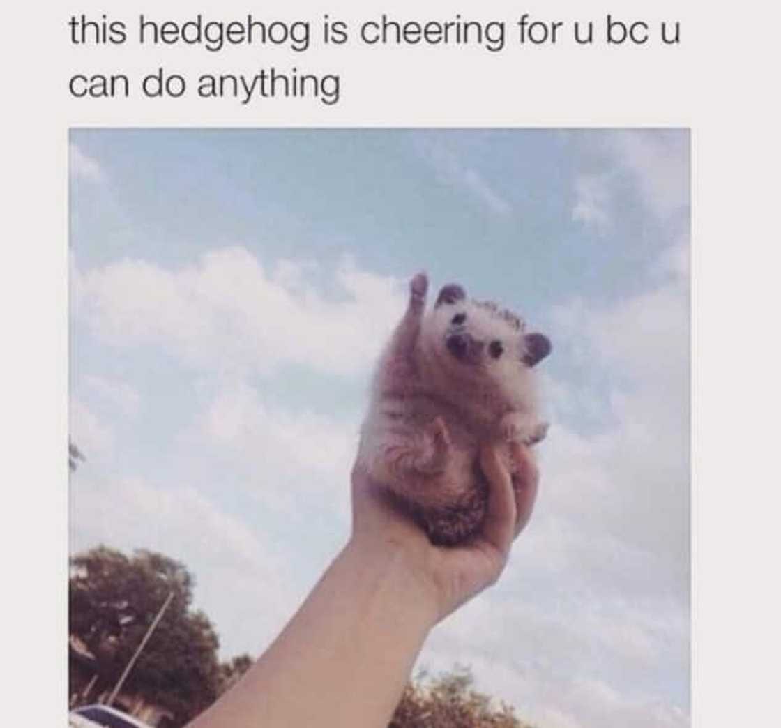 Supportive Supportive