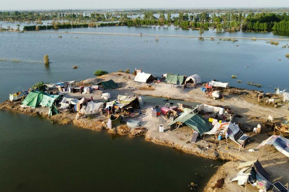 The flooded farmlands have become breeding pools for swarms of flies and mosquitos, with outbreaks of dengue reported The flooded farmlands have become breeding pools for swarms of flies and mosquitos, with outbreaks of dengue reported