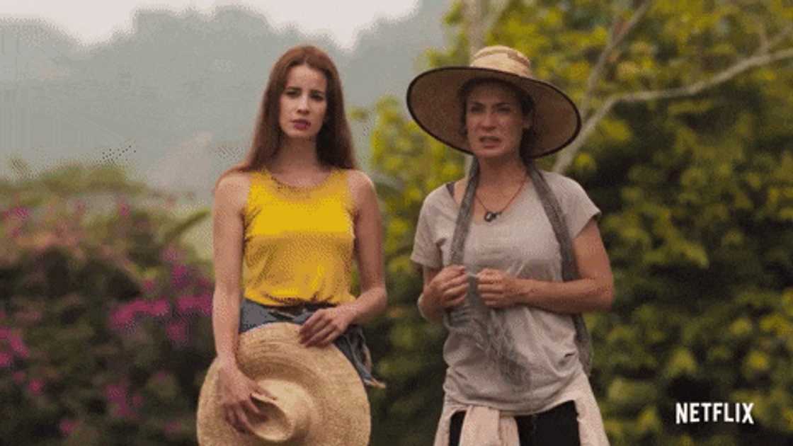 The Scent of Passion Teasers The Scent of Passion Teasers