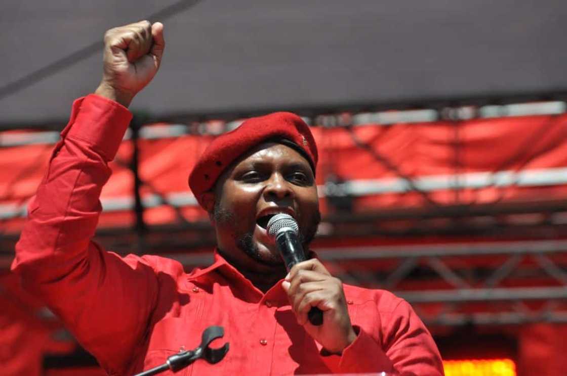 EFF, COP 26, green energy, Cyril Ramaphosa EFF, COP 26, green energy, Cyril Ramaphosa