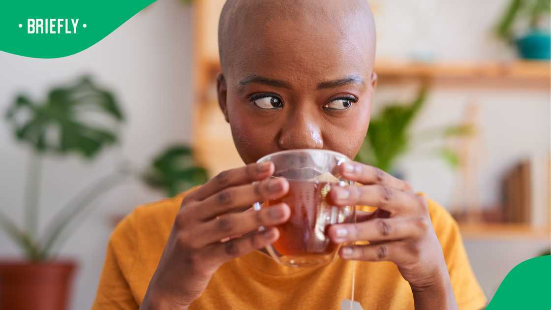 Rooibos tea’s global rise leaves South Africans feeling proud