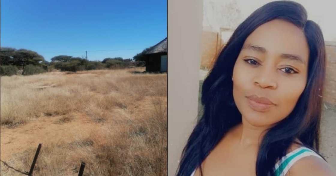 Land, South Africans, Celebrate, Woman, Her Plot, Social media, Twitter Land, South Africans, Celebrate, Woman, Her Plot, Social media, Twitter