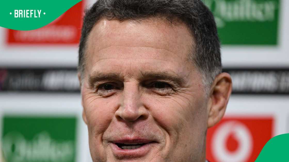 Rassie Erasmus, Springboks, South Africa