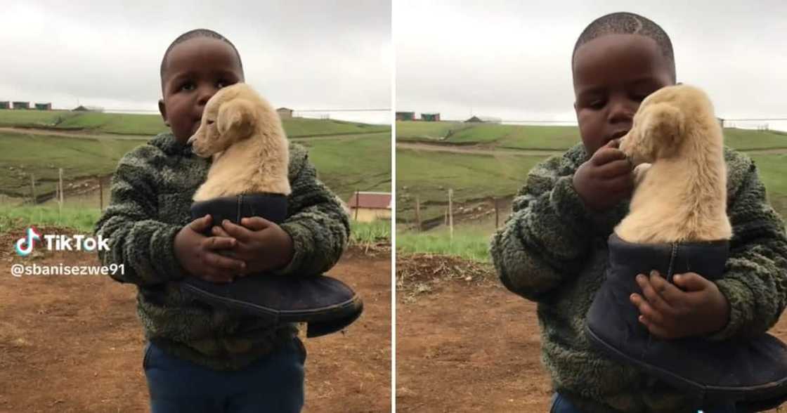 A video of a young boy keeping his puppy warm in Ugg shoe got 2.3M views A video of a young boy keeping his puppy warm in Ugg shoe got 2.3M views