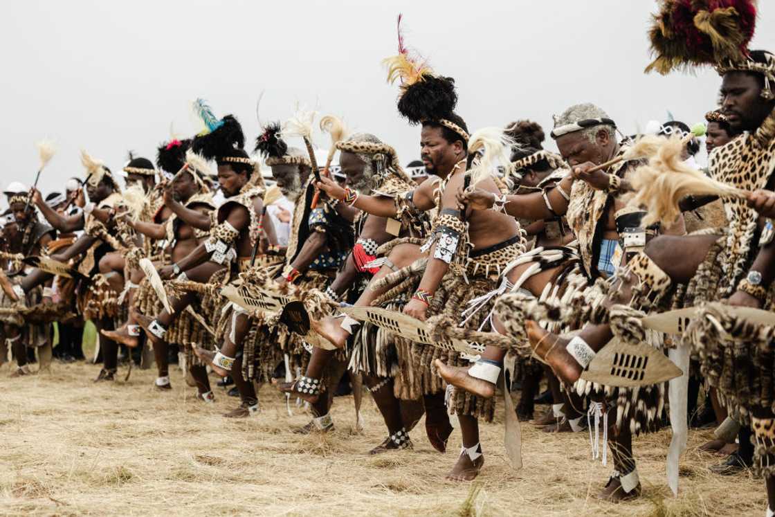 isiZulu in the most spoken language in South Africa isiZulu in the most spoken language in South Africa