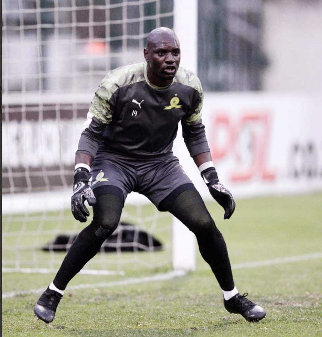 Denis Onyango's profile Denis Onyango's profile