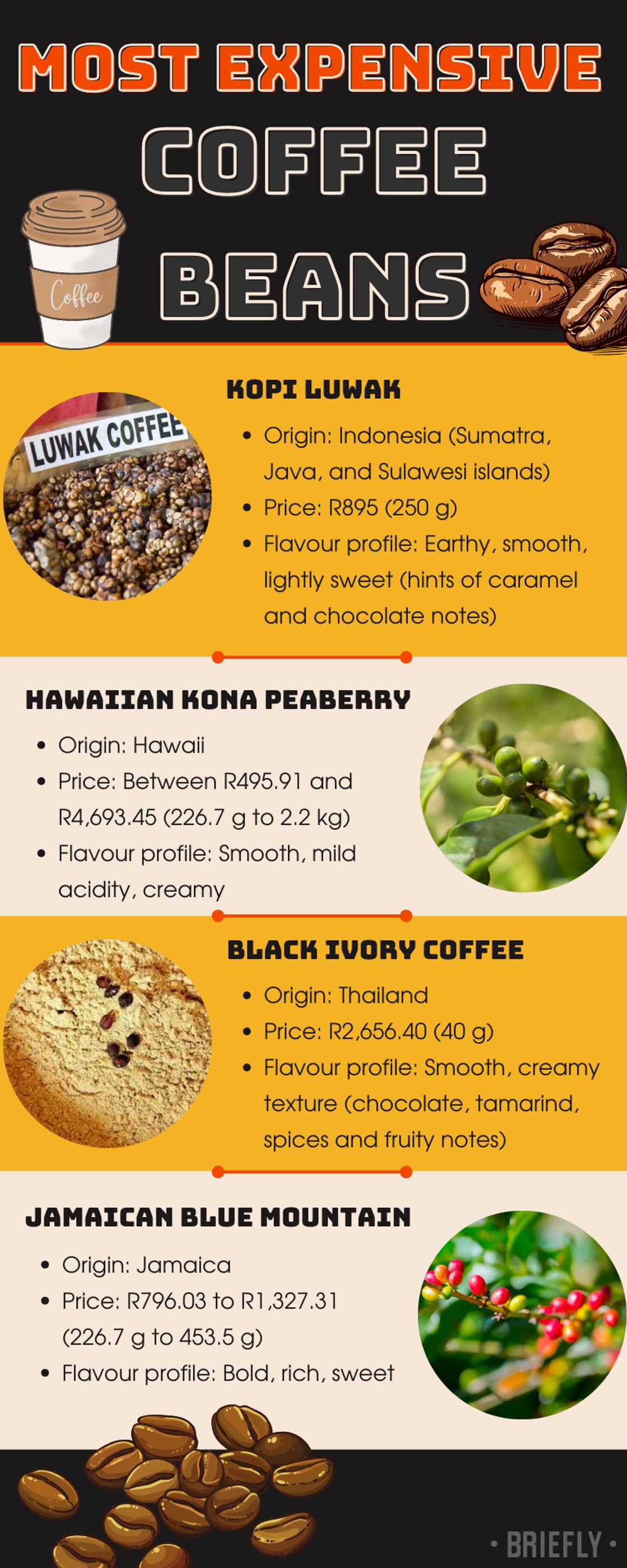 A guide to the most expensive coffee beans