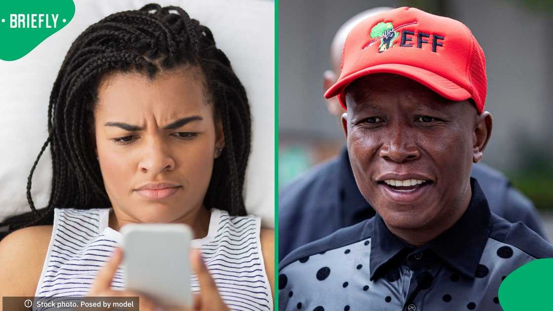 Julius Malema insisted that the EFF and its leadership were not involved in wrongdoing Julius Malema insisted that the EFF and its leadership were not involved in wrongdoing
