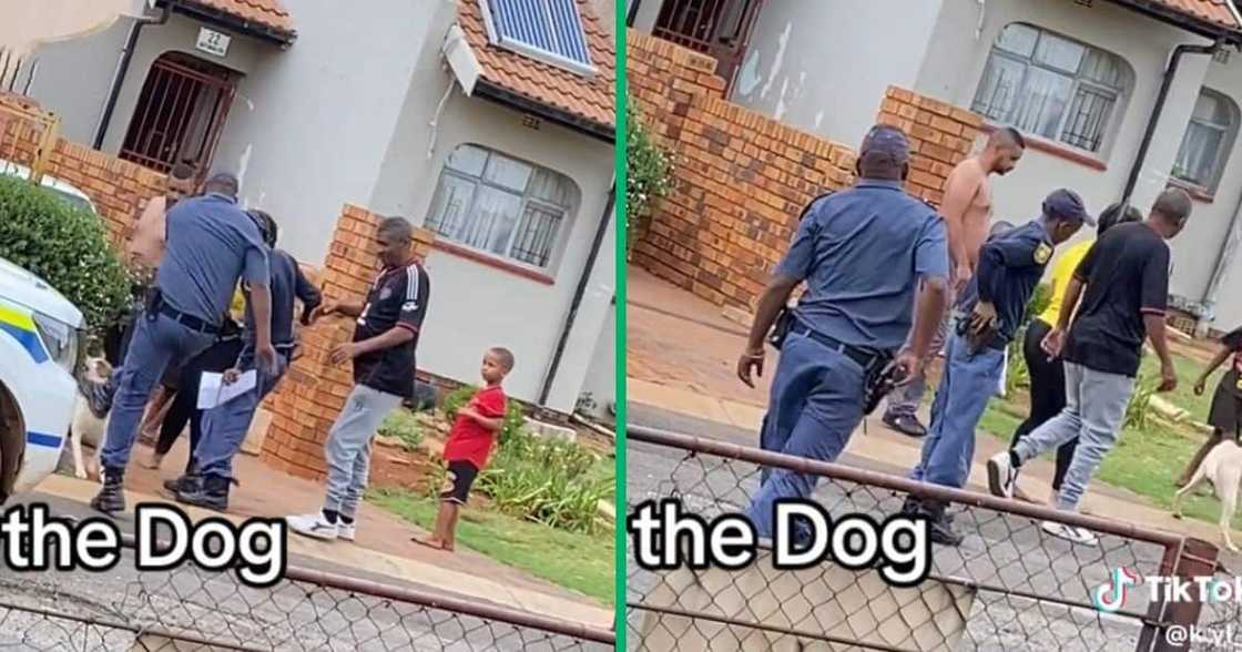 An aggressive dog tried to attack two SAPS officers An aggressive dog tried to attack two SAPS officers