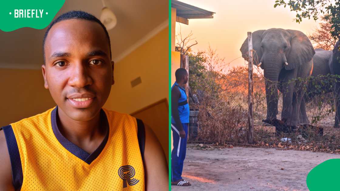 Man’s wild elephant encounter outside his home leaves Mzansi stunned