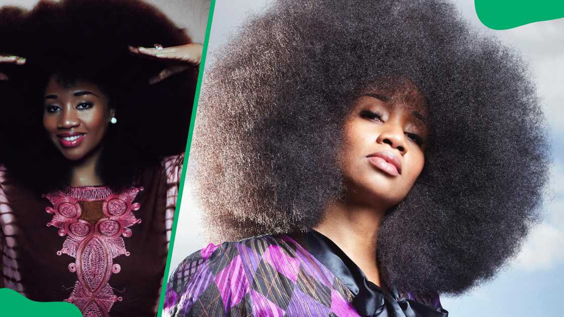 Largest Afro hair