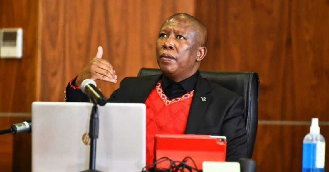 Mzansi, EFF, Julius Malema, Vendetta Mzansi, EFF, Julius Malema, Vendetta