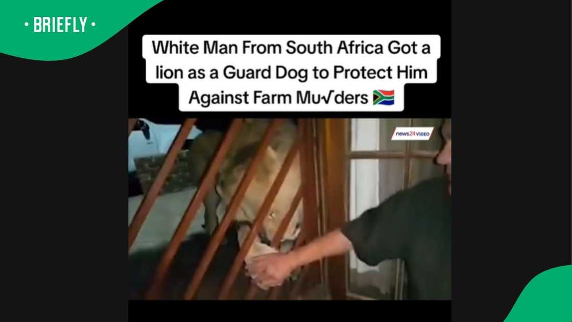 A post went viral on TikTok. A post went viral on TikTok.