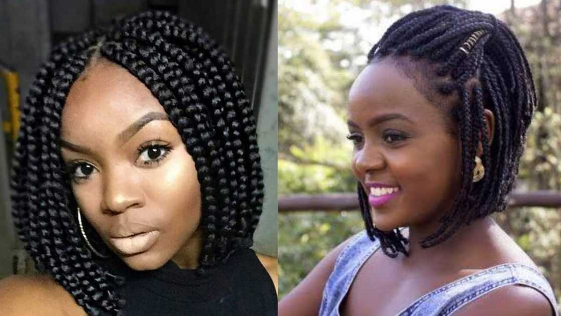Black bob braid style Black bob braid style
