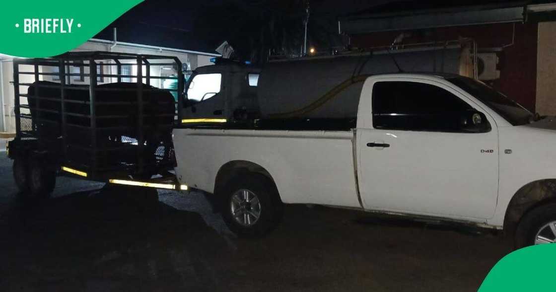 Police caught cattle thieves Police caught cattle thieves