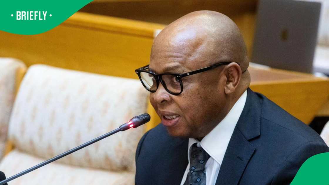 Casel Mathale said that he has not been given duties since becoming deputy police ministwr