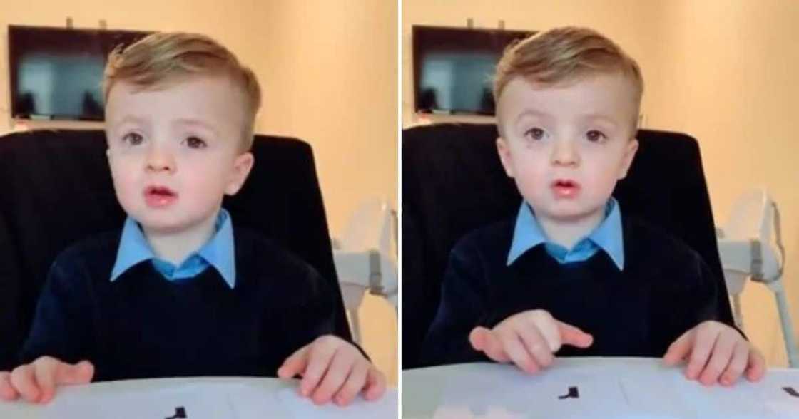 Adorable kid, internet in stitches, viral TikTok video, Mzansi latest news, world news, trending news, viral video Adorable kid, internet in stitches, viral TikTok video, Mzansi latest news, world news, trending news, viral video