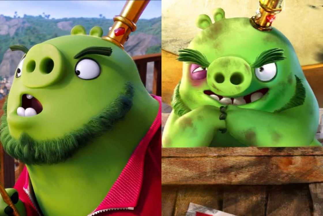 Mudbeard from The Angry Birds Movie Mudbeard from The Angry Birds Movie