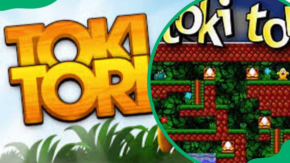 Toki Tori Toki Tori