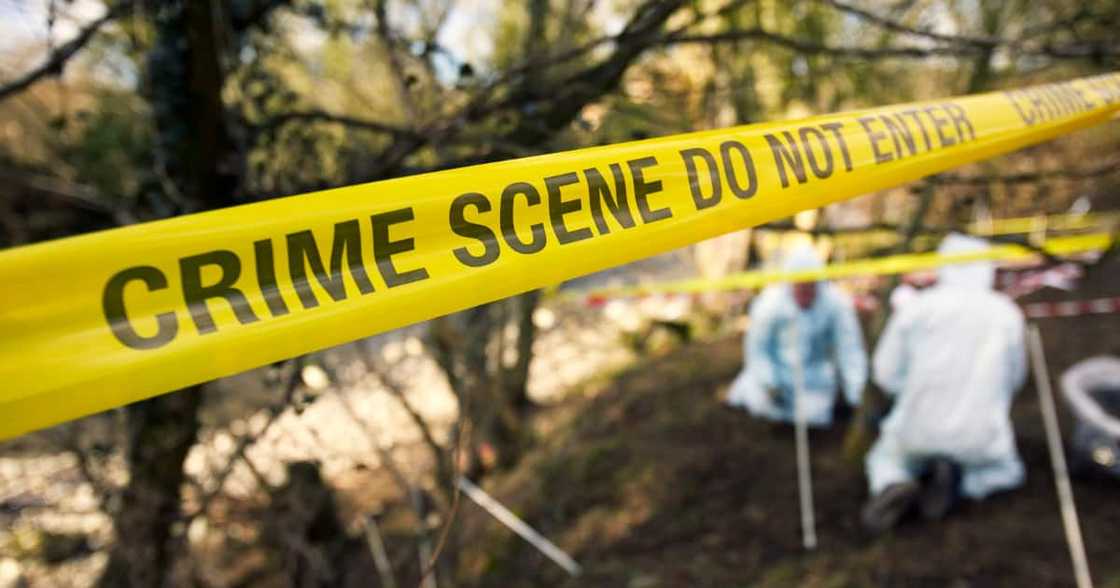 Mpumalanga man arrested Mpumalanga man arrested