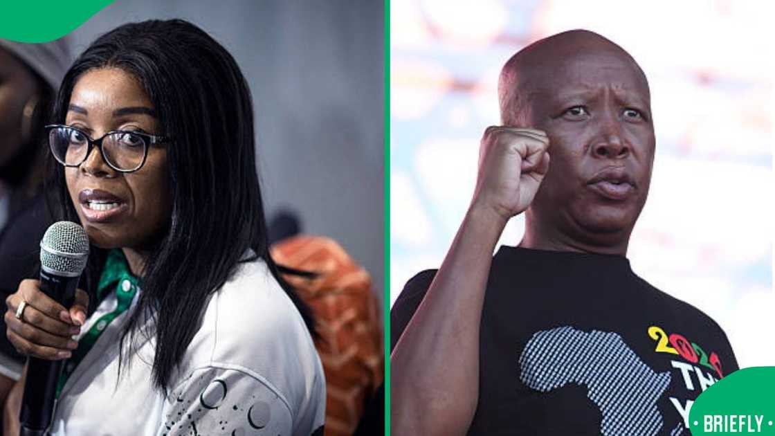 Zuma and Malema