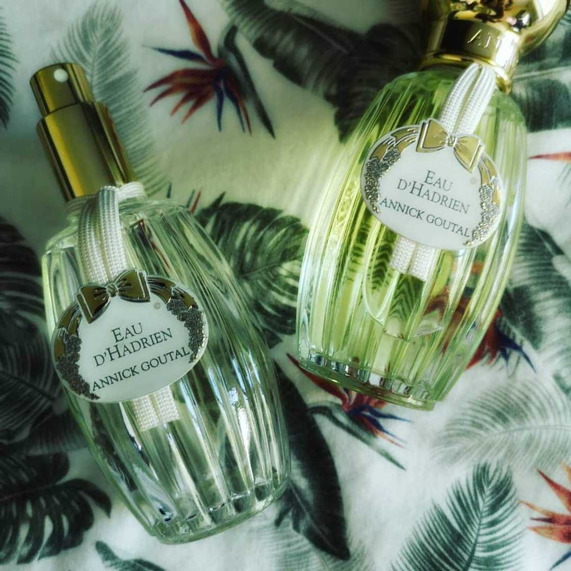 Which luxury brand perfume is best? Which luxury brand perfume is best?