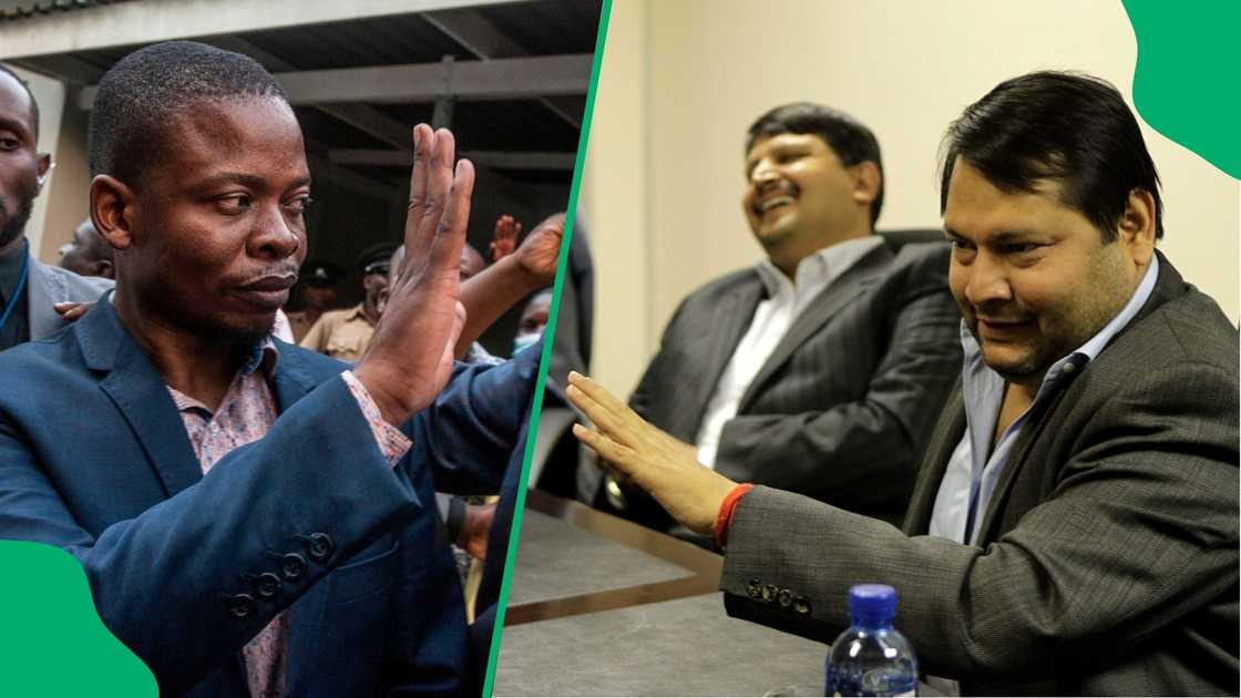 Government commitments to extraditing Bushiri and Guptas