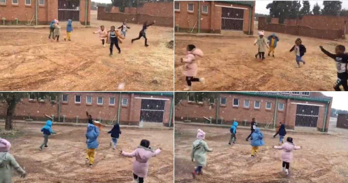 Kids, Snow, Kimberly, South Africa, Viral Video, Twitter reactions Kids, Snow, Kimberly, South Africa, Viral Video, Twitter reactions