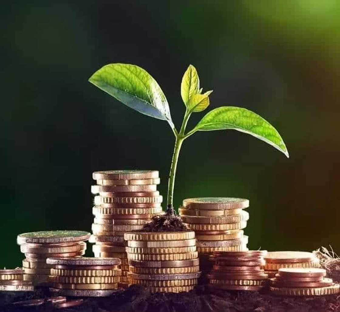 Money growth Money growth