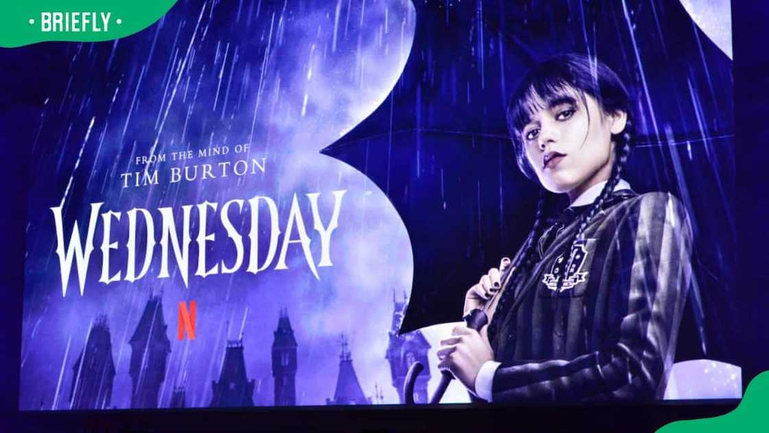 A view of Netflix's Wednesday during the 2023 ATAS Official Event at Hollywood Forever Cemetery A view of Netflix's Wednesday during the 2023 ATAS Official Event at Hollywood Forever Cemetery