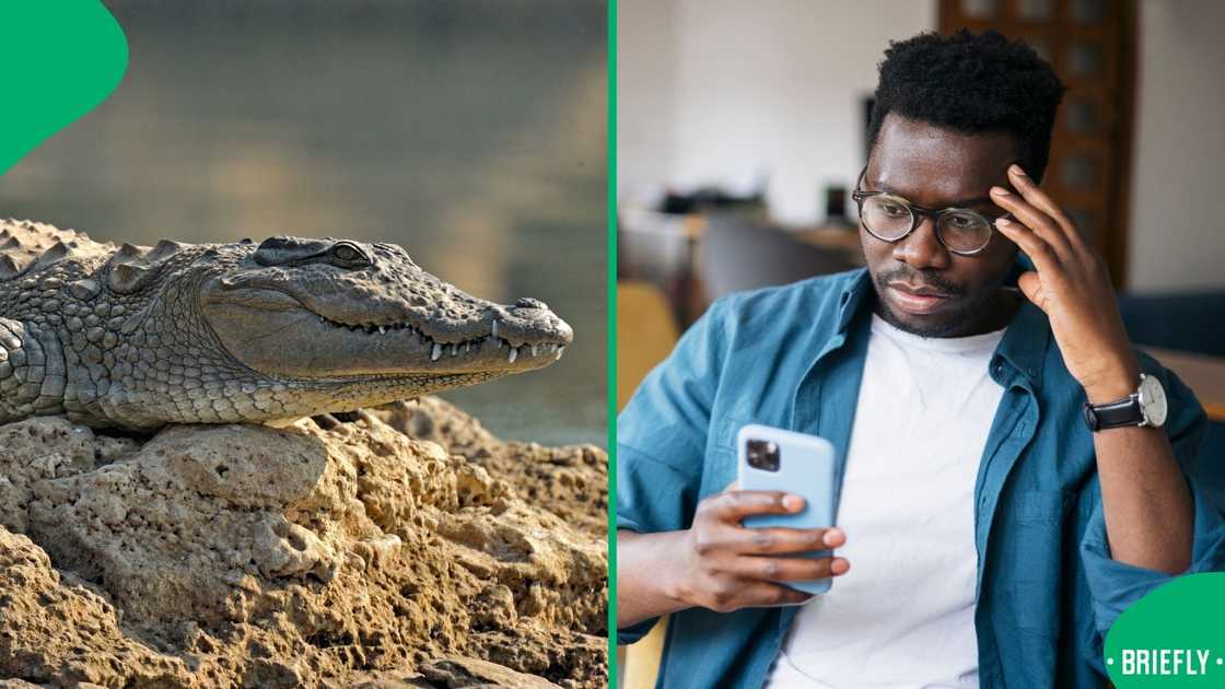 A Limpopo man went viral after he got bitten by a crocodile A Limpopo man went viral after he got bitten by a crocodile