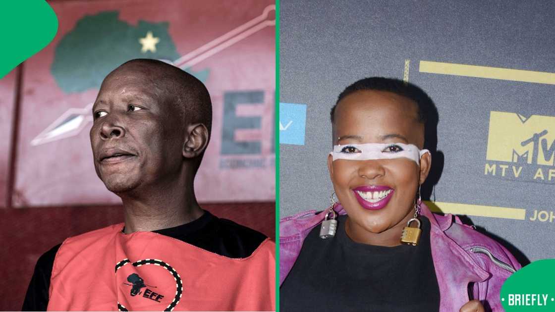 Ntsiki Mazwai slams Julius Malema after General Mkhwanazi comments